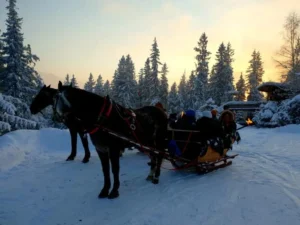 KULIG GÓRALSKI Z POCHODNIAMI DO ZAKOPANEGO