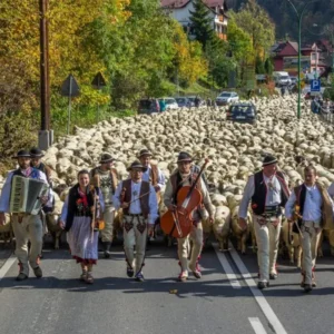 WYCIECZKA NA REDYK FEST 2026