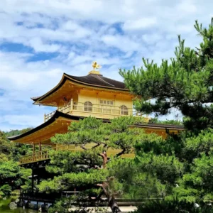 WYCIECZKA DO JAPONII