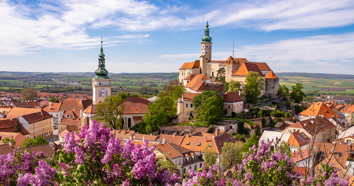 wycieczka na Morawy winnice Lednice Valtice degustacja win