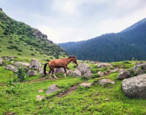 NIEZWYKŁA WYPRAWA DO SZWAJCARSKIEJ AZJI – KIRGISTANU & KAZACHSTANU
